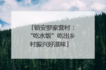镇安罗家营村：“吃水饭”吃出乡村振兴好滋味
