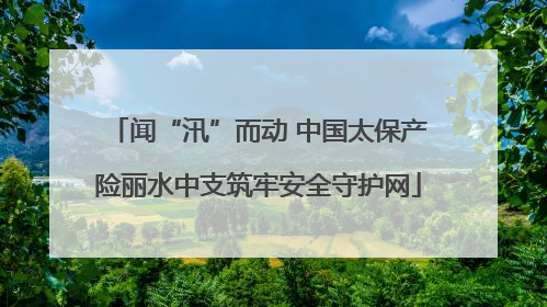 闻“汛”而动 中国太保产险丽水中支筑牢安全守护网