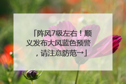 阵风7级左右！顺义发布大风蓝色预警，请注意防范→