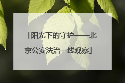 阳光下的守护——北京公安法治一线观察