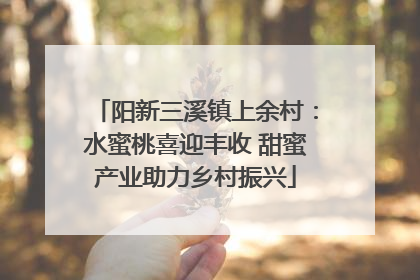 阳新三溪镇上余村：水蜜桃喜迎丰收 甜蜜产业助力乡村振兴