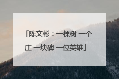 陈文彬：一棵树 一个庄 一块碑 一位英雄