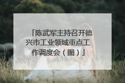 陈武军主持召开德兴市工业领域重点工作调度会（图）