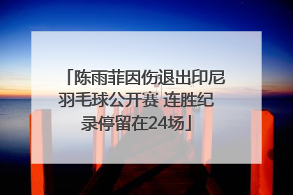 陈雨菲因伤退出印尼羽毛球公开赛 连胜纪录停留在24场