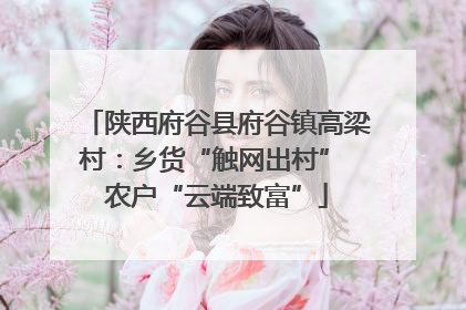 陕西府谷县府谷镇高梁村：乡货“触网出村” 农户“云端致富”