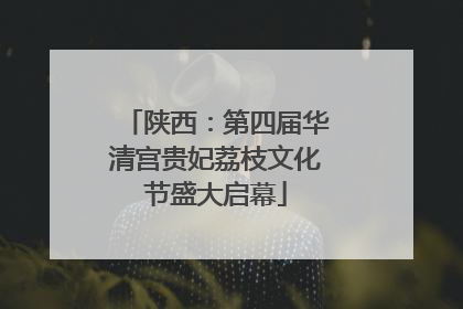 陕西：第四届华清宫贵妃荔枝文化节盛大启幕