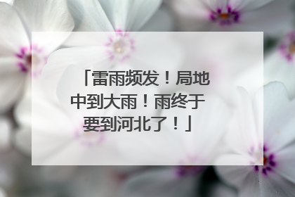 雷雨频发！局地中到大雨！雨终于要到河北了！