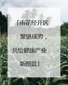 雨花经开区：聚链成势，共绘健康产业新图景