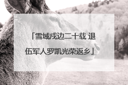 雪域戍边二十载 退伍军人罗凯光荣返乡