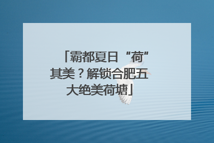 霸都夏日“荷”其美？解锁合肥五大绝美荷塘