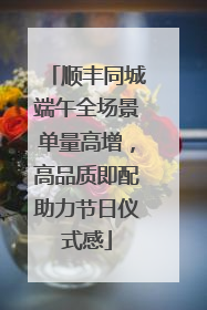 顺丰同城端午全场景单量高增，高品质即配助力节日仪式感