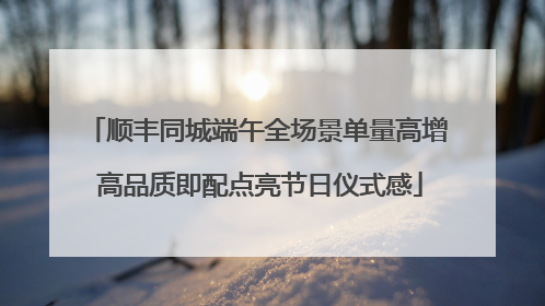 顺丰同城端午全场景单量高增 高品质即配点亮节日仪式感