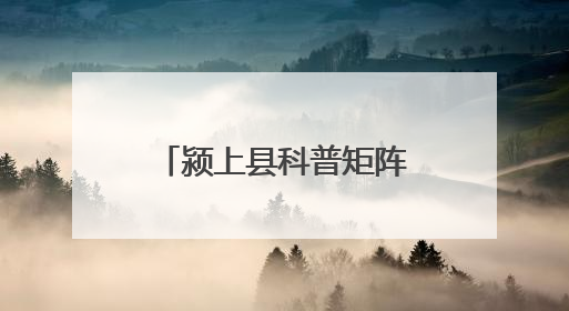 颍上县科普矩阵点燃少年科技梦
