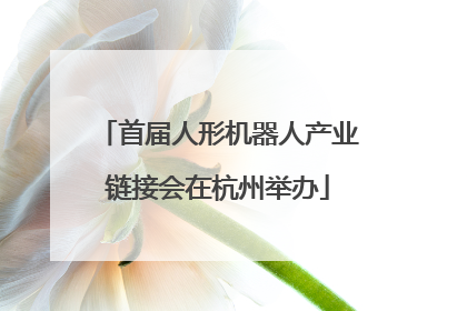 首届人形机器人产业链接会在杭州举办