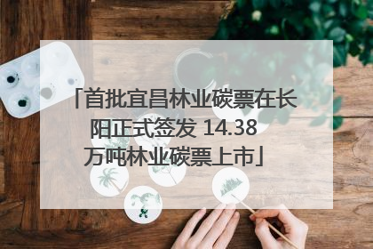 首批宜昌林业碳票在长阳正式签发 14.38万吨林业碳票上市