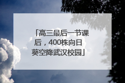 高三最后一节课后，400株向日葵空降武汉校园
