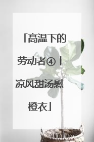高温下的劳动者④丨凉风甜汤慰橙衣