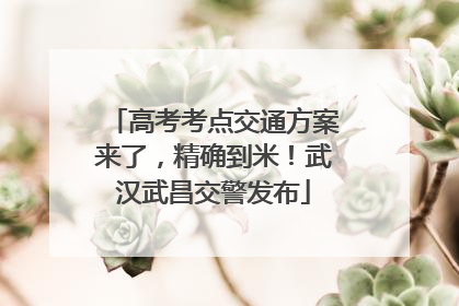 高考考点交通方案来了，精确到米！武汉武昌交警发布