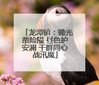 龙潭镇：锄光凿险隘 昼色护安澜 干群同心战汛魔
