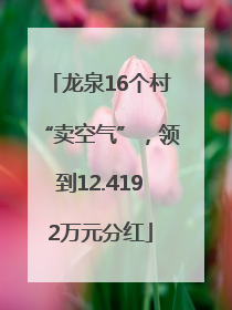 龙泉16个村“卖空气”，领到12.4192万元分红