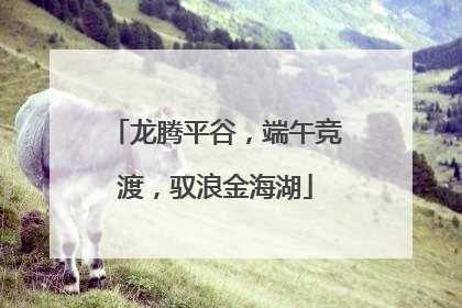 龙腾平谷，端午竞渡，驭浪金海湖