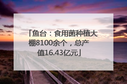 鱼台：食用菌种植大棚8100余个，总产值16.43亿元