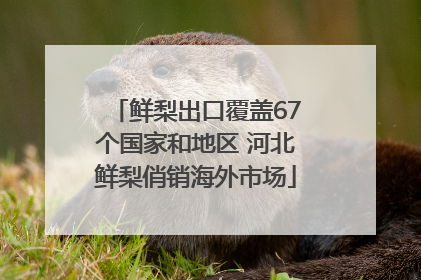 鲜梨出口覆盖67个国家和地区 河北鲜梨俏销海外市场