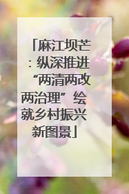 麻江坝芒：纵深推进“两清两改两治理”绘就乡村振兴新图景