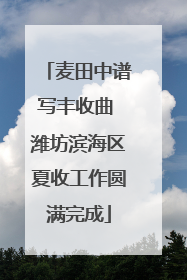 麦田中谱写丰收曲 潍坊滨海区夏收工作圆满完成