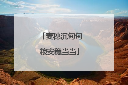 麦穗沉甸甸 粮安稳当当