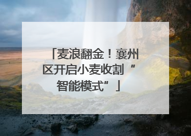 麦浪翻金！襄州区开启小麦收割“智能模式”