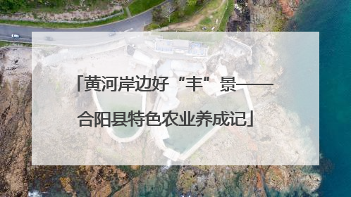 黄河岸边好“丰”景——合阳县特色农业养成记