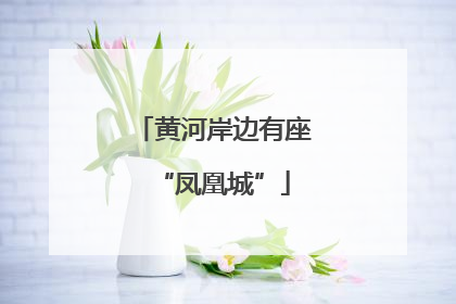 黄河岸边有座“凤凰城”