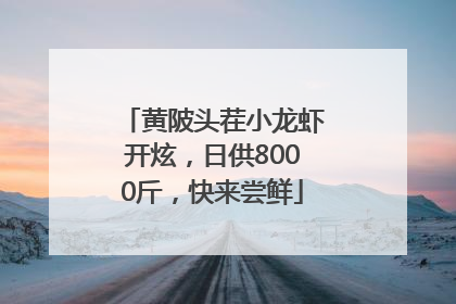 黄陂头茬小龙虾开炫，日供8000斤，快来尝鲜