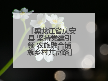黑龙江省庆安县 坚持党建引领 农旅融合铺就乡村共富路