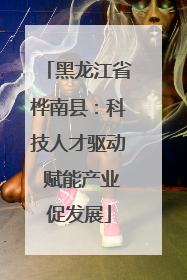 黑龙江省桦南县：科技人才驱动 赋能产业促发展