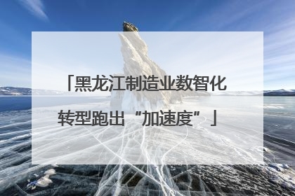 黑龙江制造业数智化转型跑出“加速度”