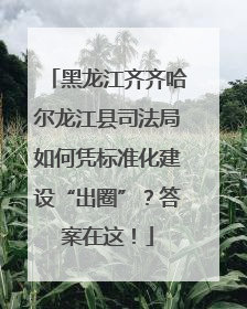 黑龙江齐齐哈尔龙江县司法局如何凭标准化建设“出圈”？答案在这！