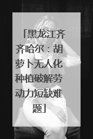 黑龙江齐齐哈尔：胡萝卜无人化种植破解劳动力短缺难题