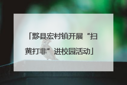 黟县宏村镇开展“扫黄打非”进校园活动
