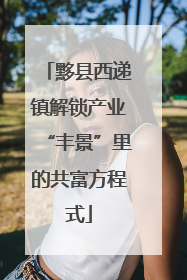 黟县西递镇解锁产业“丰景”里的共富方程式