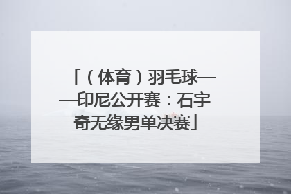 （体育）羽毛球——印尼公开赛：石宇奇无缘男单决赛