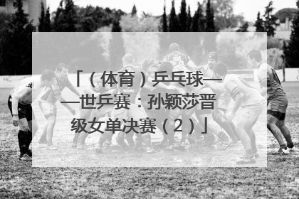 （体育）乒乓球——世乒赛：孙颖莎晋级女单决赛（2）