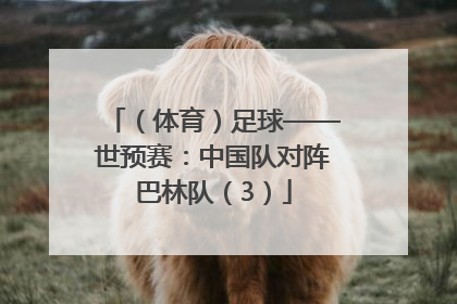 （体育）足球——世预赛：中国队对阵巴林队（3）
