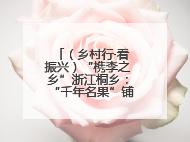（乡村行·看振兴）“槜李之乡”浙江桐乡：“千年名果”铺就乡村共富路