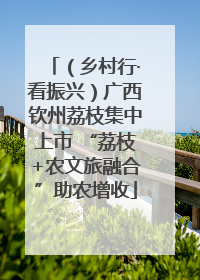 （乡村行·看振兴）广西钦州荔枝集中上市 “荔枝+农文旅融合”助农增收