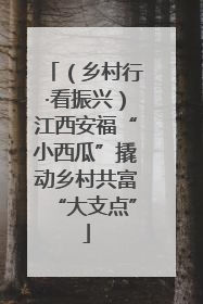 （乡村行·看振兴）江西安福“小西瓜”撬动乡村共富“大支点”