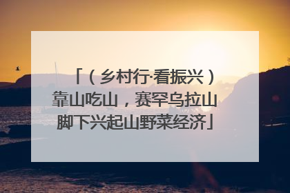 （乡村行·看振兴）靠山吃山，赛罕乌拉山脚下兴起山野菜经济