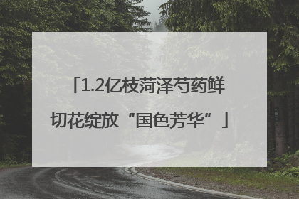 1.2亿枝菏泽芍药鲜切花绽放“国色芳华”