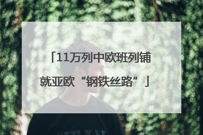11万列中欧班列铺就亚欧“钢铁丝路”